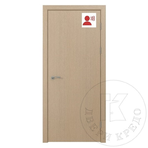 Дверь глухая звукоизоляционная. Модель ПДГ.101.(01) RW 47 дБ