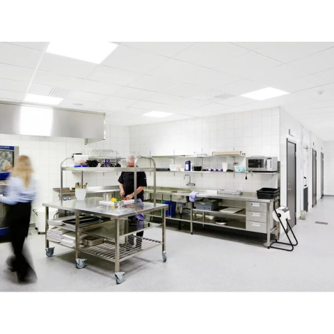 Ecophon Hygiene Performance А T24/Tech 600x600