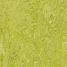 Линолеум Forbo Marmoleum Decibel chartreuse