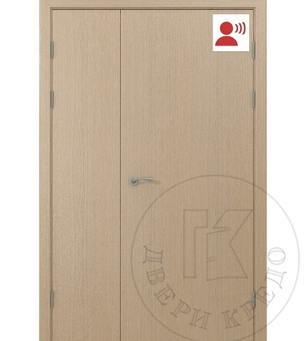 Дверь глухая звукоизоляционная. Модель ПДГ.101.(02) RW 32-36-38-43-47 дБ