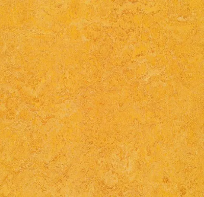 Линолеум Forbo Marmoleum Decibel dandelion