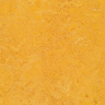 Линолеум Forbo Marmoleum Decibel dandelion