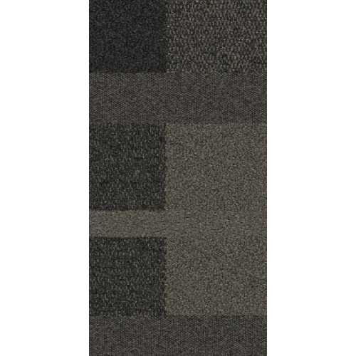 9551005