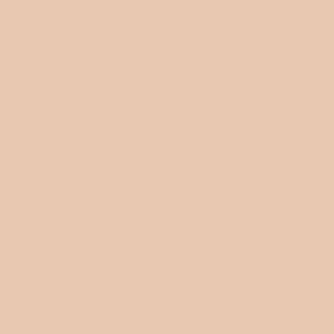ROCKFON COLOR-ALL Seachell NCS S 1510-Y60R E15 1200x600x20