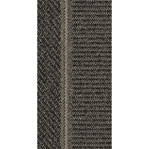 9554005