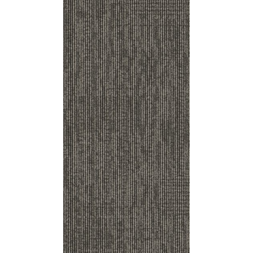 9557005