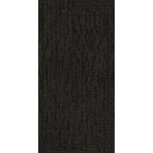 9557009