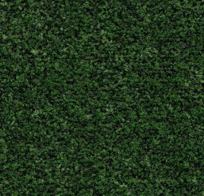 Forbo Coral Brush