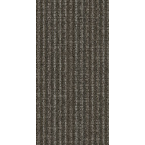 9553005