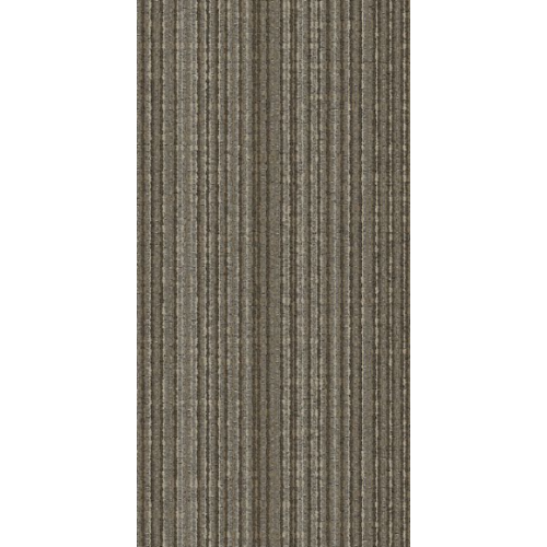 9553006