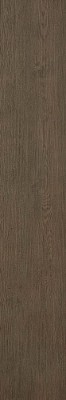 Керамический Гранит Окрашенный в Массе Bord Nutmeg 25x150