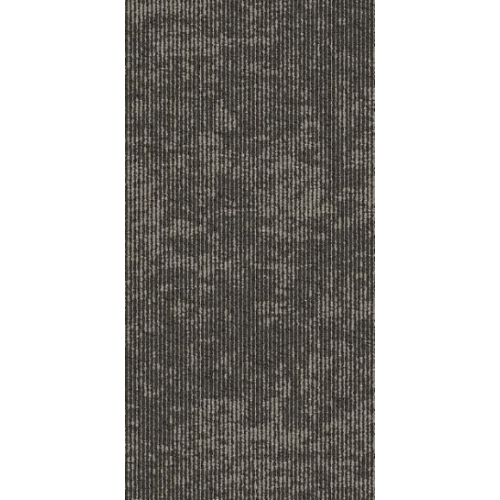 9555003