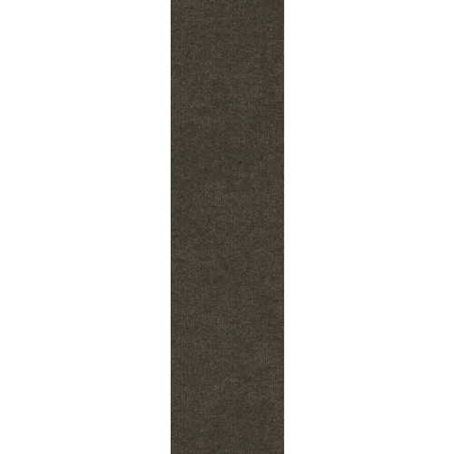 9555005