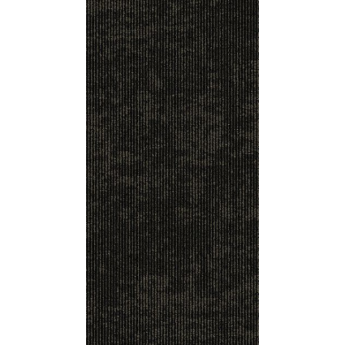 9555007