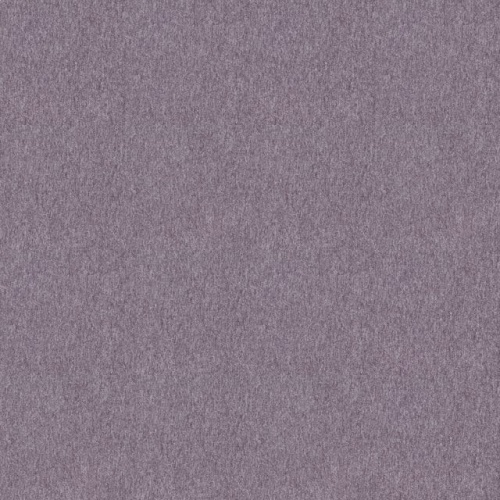 4288016