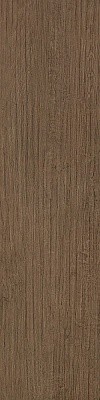 Керамический Гранит Окрашенный в Массе Bord Cinnamon 22,5x90