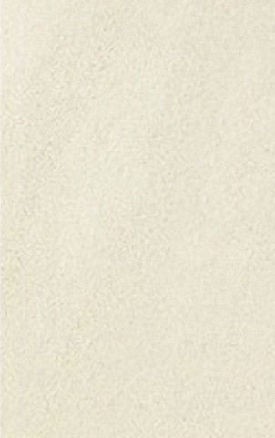 Технический Керамический Гранит Ever Moon 30x60