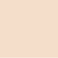 ROCKFON COLOR-ALL Petal NCS S 1005-Y60R A15/24 1200x600x15