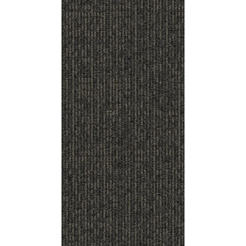 9552004