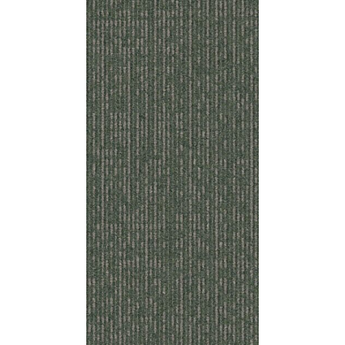 9552006
