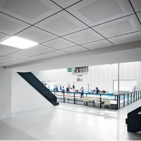 ORCAL Перфорация Rg 2516 1200x600x15 Board