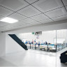ORCAL Перфорация Rg 2516 1200x600x15 Board
