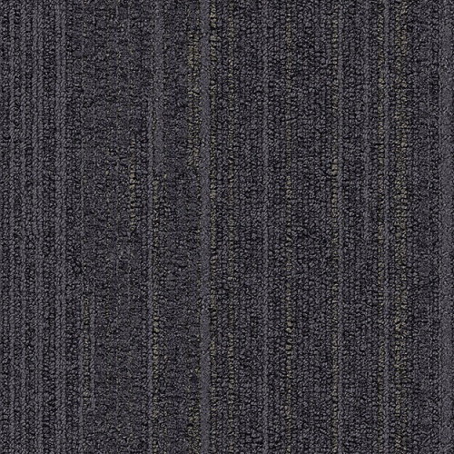 7848004
