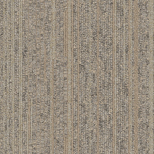 7848009
