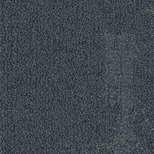 7959003