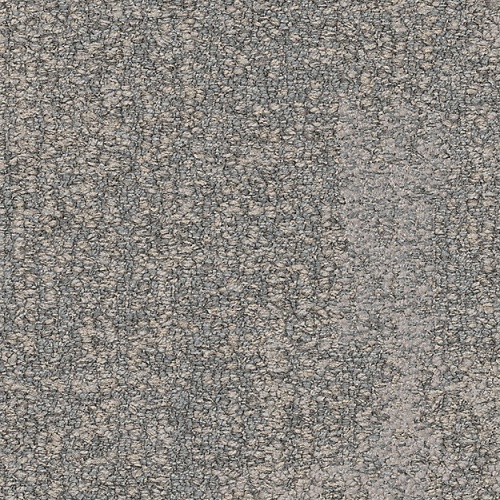 7959004