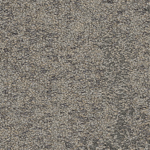 7959005