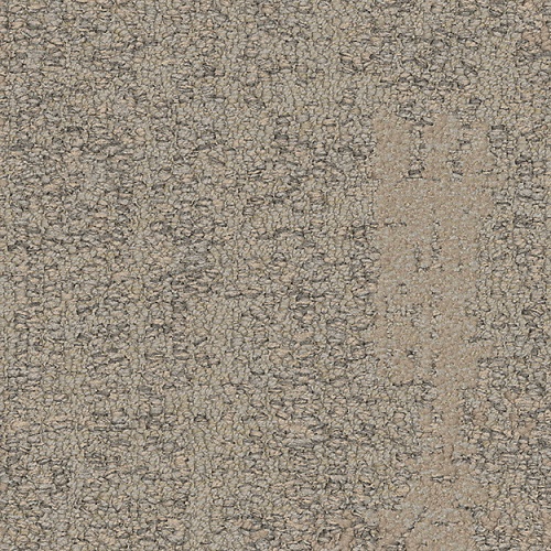 7959006