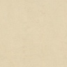 Коллекция Forbo Marmoleum Authentic 2,50