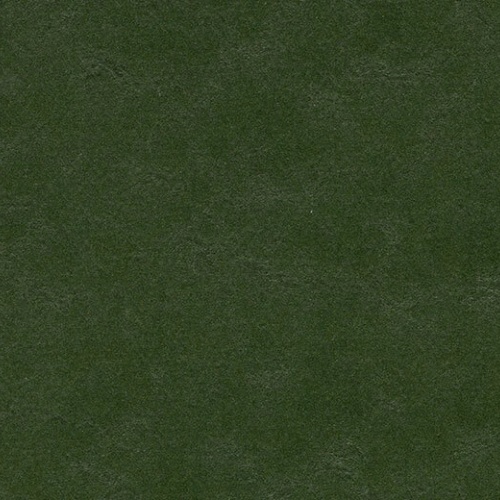 Коллекция Forbo Marmoleum Walton 2,50