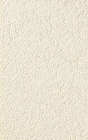 Технический Керамический Гранит Ever Moon 30x60 Strutturato