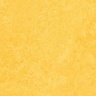 Коллекция Forbo Marmoleum Fresco 2,50