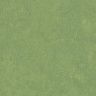 Коллекция Forbo Marmoleum Fresco 2,50