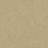 Коллекция Forbo Marmoleum Fresco 2,50