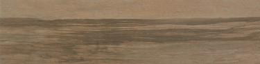 Керамический Гранит Окрашенный в Массе Etic Quercia Antique 21,5x88 Lappato
