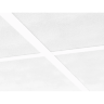 Ecophon Advantage A T15/T24 NE 1200x600