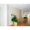 Ecophon Advantage A T15/T24 NE 1200x600
