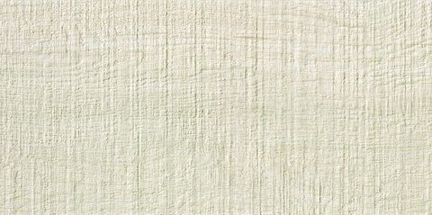 Керамический Гранит Окрашенный в Массе Etic Rovere Bianco 22,5x90 Strutturato