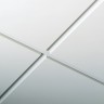 ORCAL Экстра Микроперфорация Rg 0701 с В15 600x300x24 Axal Vector