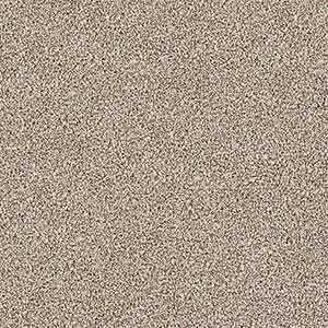 659203