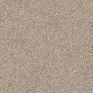 659203