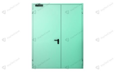 Противопожарная дверь с доводчиком EIS-60 нестандартный цвет