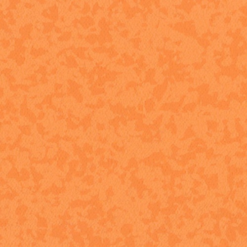 Линолеум Taralay Premium Compact