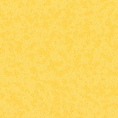 Линолеум Taralay Premium Compact