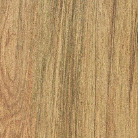 Керамический Гранит Окрашенный в Массе Etic Rovere Bottone