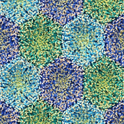 Ковролин Flotex by Mac Stopa